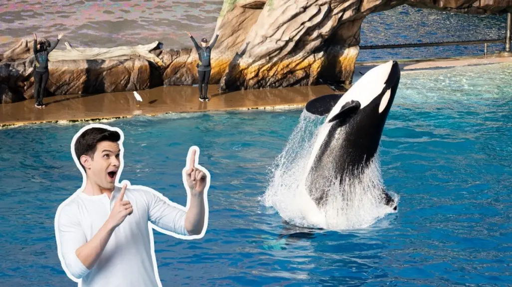 Esta carretera de Nuevo León que te lleva a SeaWorld de San Antonio, Texas, en 5 horas