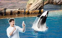 Esta carretera de Nuevo León que te lleva a SeaWorld de San Antonio, Texas, en 5 horas