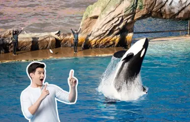 Esta carretera de Nuevo León que te lleva a SeaWorld de San Antonio, Texas, en 5 horas