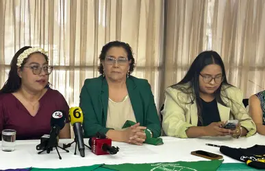 Despenalización del aborto en Durango debe darse ya tras resolución judicial, afirman activistas