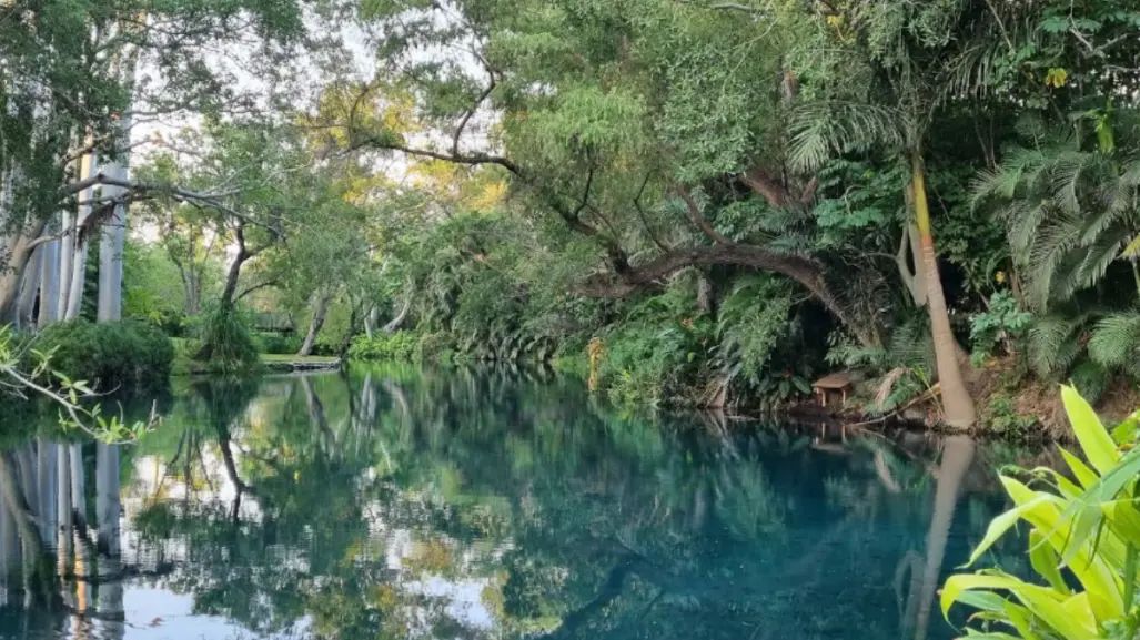 Conoce la carretera que te lleva de Edomex a un pueblo de Morelos con manantiales de película