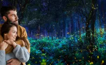 El bosque secreto donde puedes cenar entre luciérnagas en CDMX
