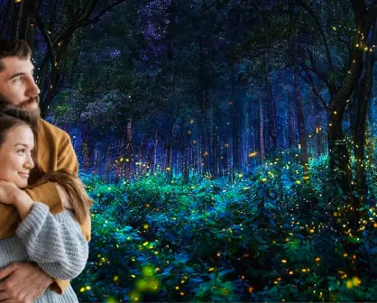 El bosque secreto donde puedes cenar entre luciérnagas en CDMX