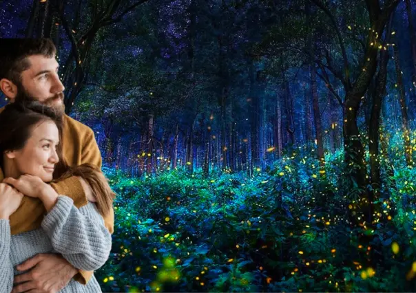 El bosque secreto donde puedes cenar entre luciérnagas en CDMX