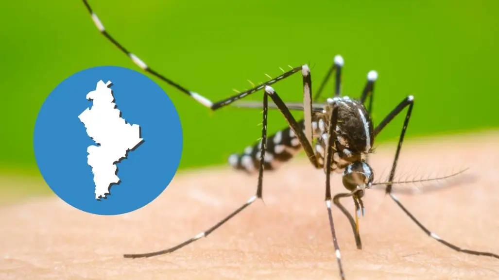 ¿Nuevo León en alerta? Detectan primer fallecimiento por dengue en 2025