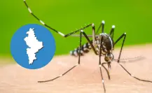 ¿Nuevo León en alerta? Detectan primer fallecimiento por dengue en 2025