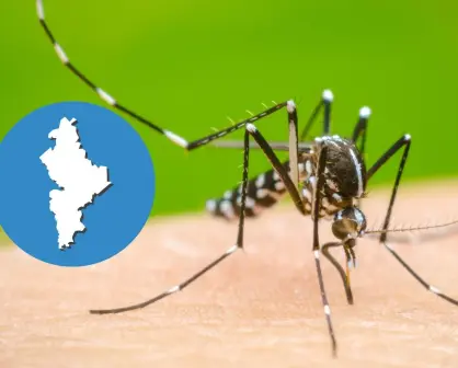 ¿Nuevo León en alerta? Detectan primer fallecimiento por dengue en 2025