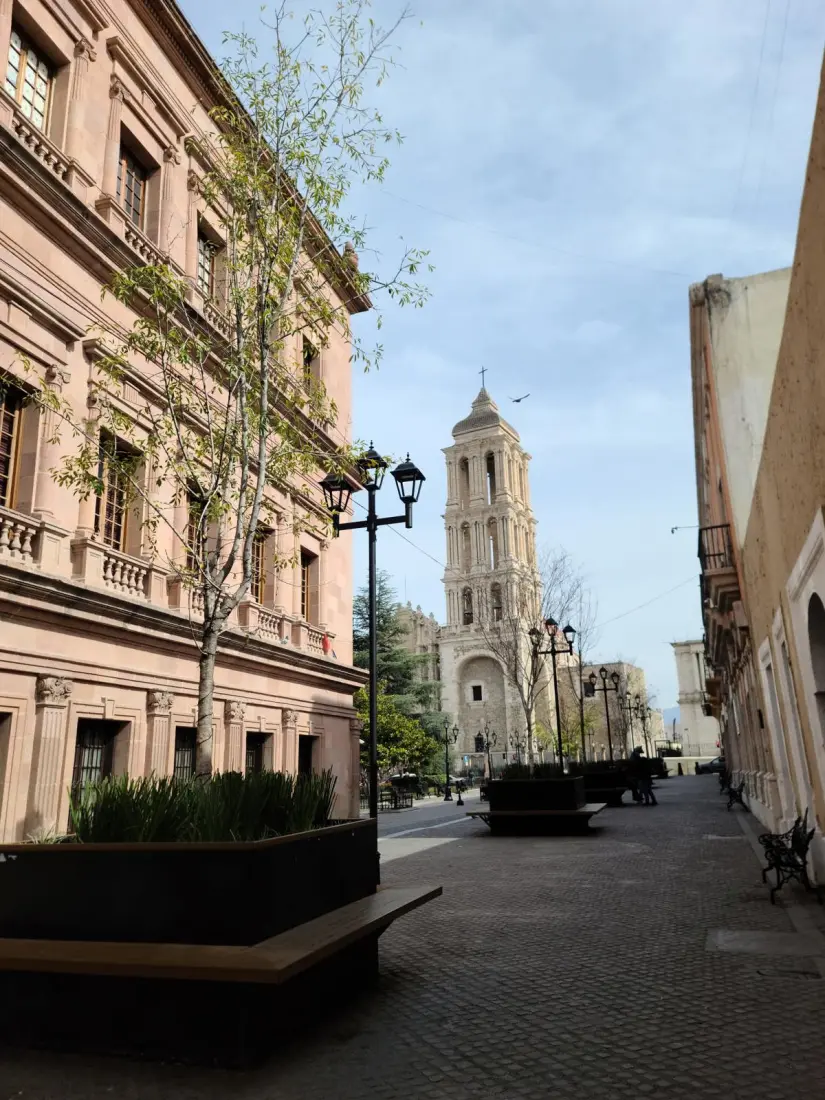 Paseo capital en el Centro Histórico de Saltillo / Foto: Edgar Romero 