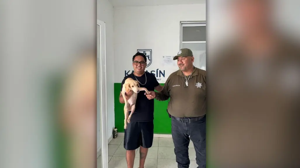 Perrito "Pulgarcito" tiene nueva oportunidad de vida al ser adoptado en Kanasín, Yucatán