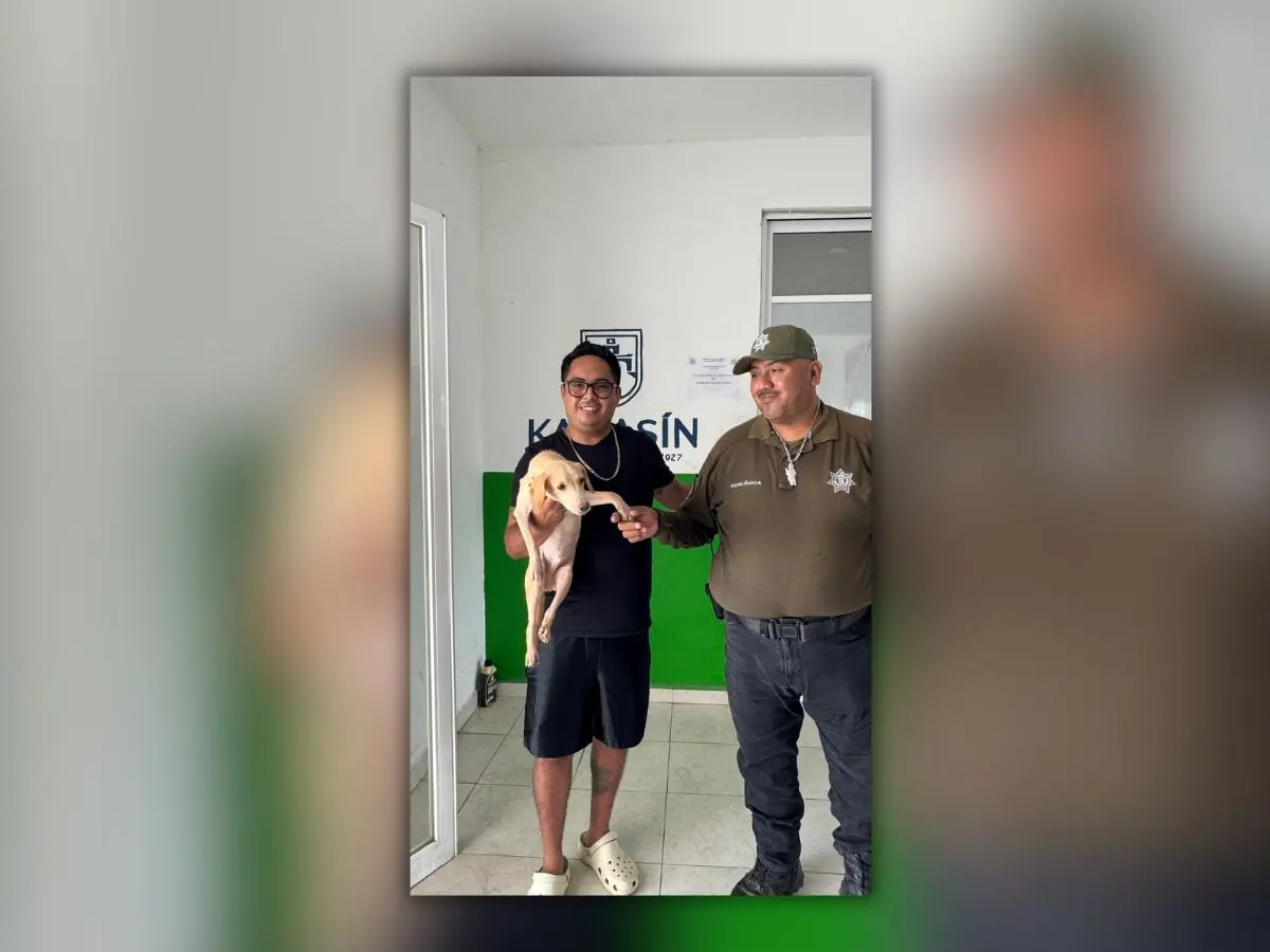 La Policía Ecológica de Kanasín hizo un llamado a la ciudadanía a adoptar a los perritos que son rescatados por la corporación y así darles una segunda oportunidad de vida.- Fuente Policía Ecológica de Kanasín