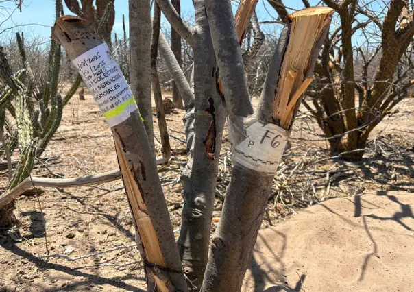 Violencia se desborda en el Norte de BCS: Loreto y Comondú, bajo fuego en junio