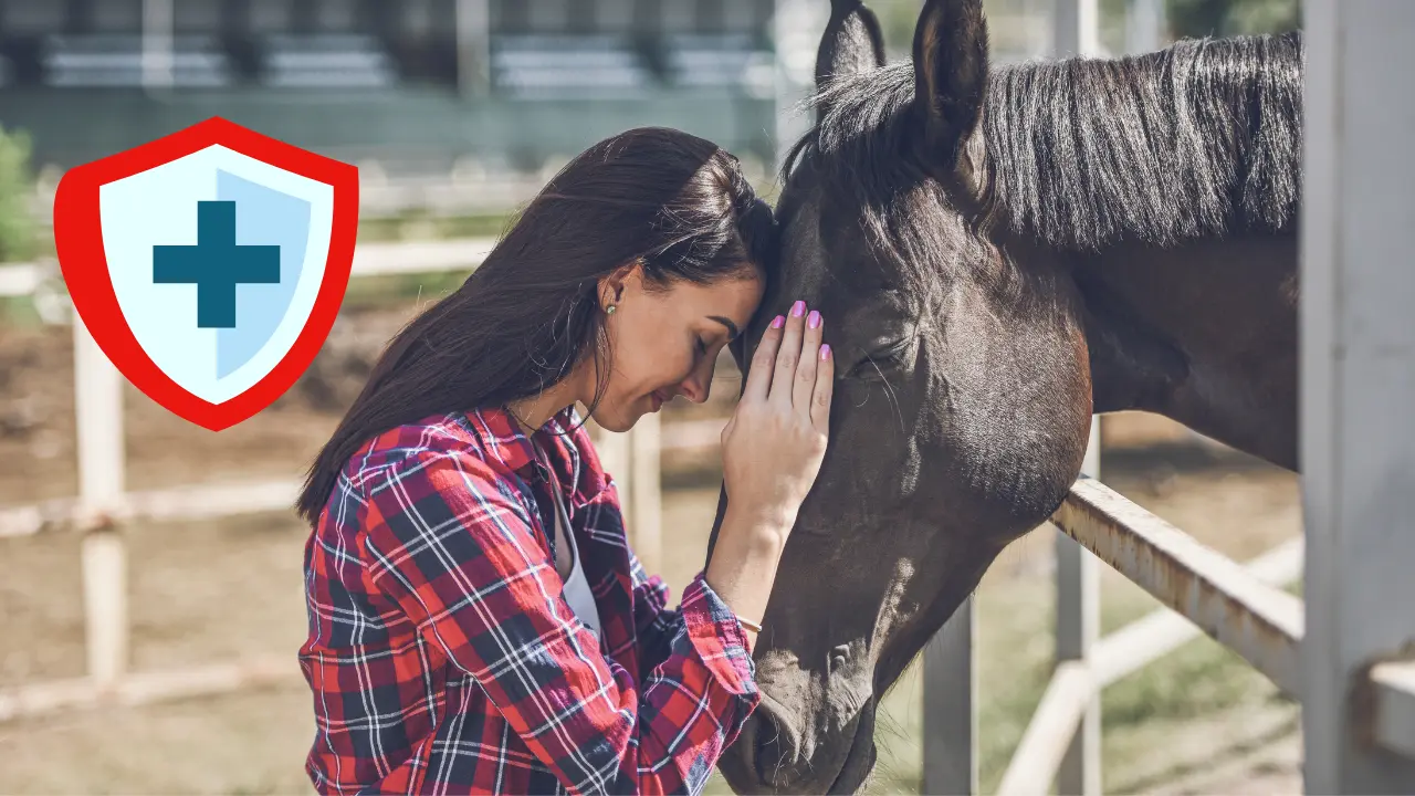 Son muchos los cuidados que debe tener un caballo. Foto: Especial.