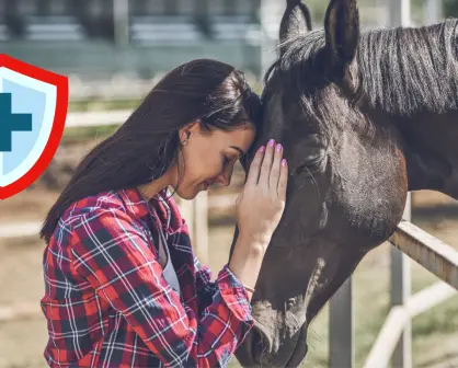 ¿Piensas comprar un caballo en Durango? Este es el costo de una consulta de un veterinario