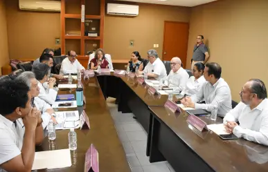 "Aliados por la Vida": el modelo yucateco que transforma la salud mental en México