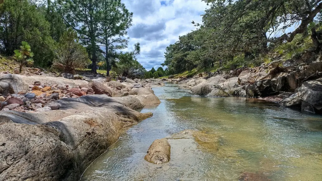 La carretera de Durango que te lleva a la increíble Reserva de la Michilía