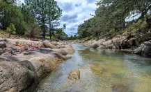 La carretera de Durango que te lleva a la increíble Reserva de la Michilía