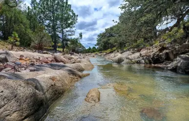 La carretera de Durango que te lleva a la increíble Reserva de la Michilía