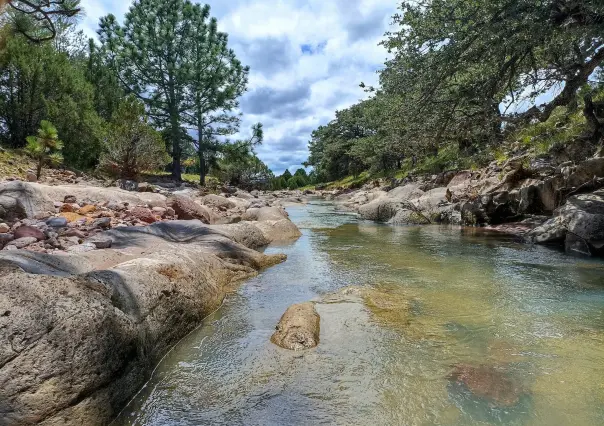 La carretera de Durango que te lleva a la increíble Reserva de la Michilía