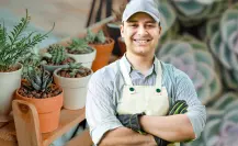 5 errores que debes evitar si tienes suculentas en maceta dentro de casa