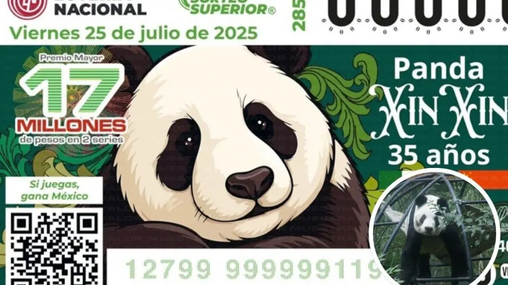 Conoce el billete de lotería que celebra los 35 años de Xin Xin, la panda gigante de Chapultepec