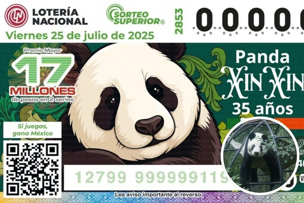 Billete de lotería de la panda Xin Xin. Foto: Lotería Nacional | Canva