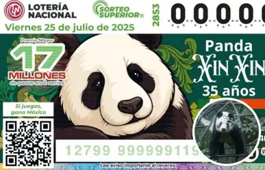 Conoce el billete de lotería que celebra los 35 años de Xin Xin, la panda gigante de Chapultepec