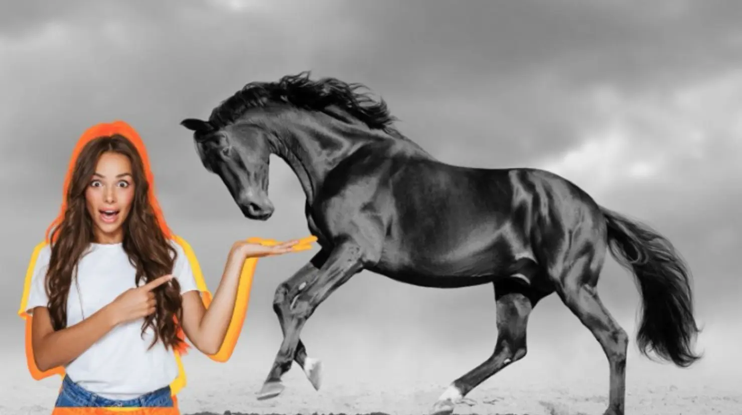 Este caballo de Durango tiene su propio corrido. Foto: Especial.