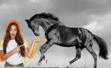 Este es el caballo más famoso de Durango, ¿conoces la razón?