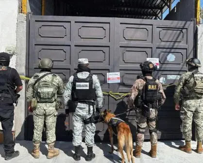 Aseguran droga y alcohol en cateo en la Bellavista: detienen a cinco