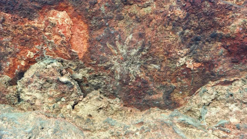 Pinturas rupestres de Tehuacán serían reales; INAH prevé nuevo sitio arqueológico