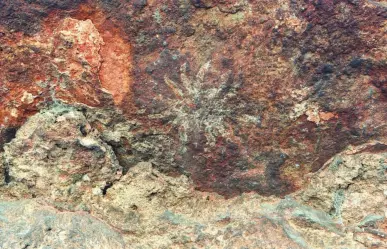 Pinturas rupestres de Tehuacán serían reales; INAH prevé nuevo sitio arqueológico