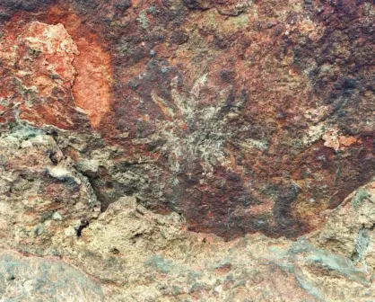 Pinturas rupestres de Tehuacán serían reales; INAH prevé nuevo sitio arqueológico