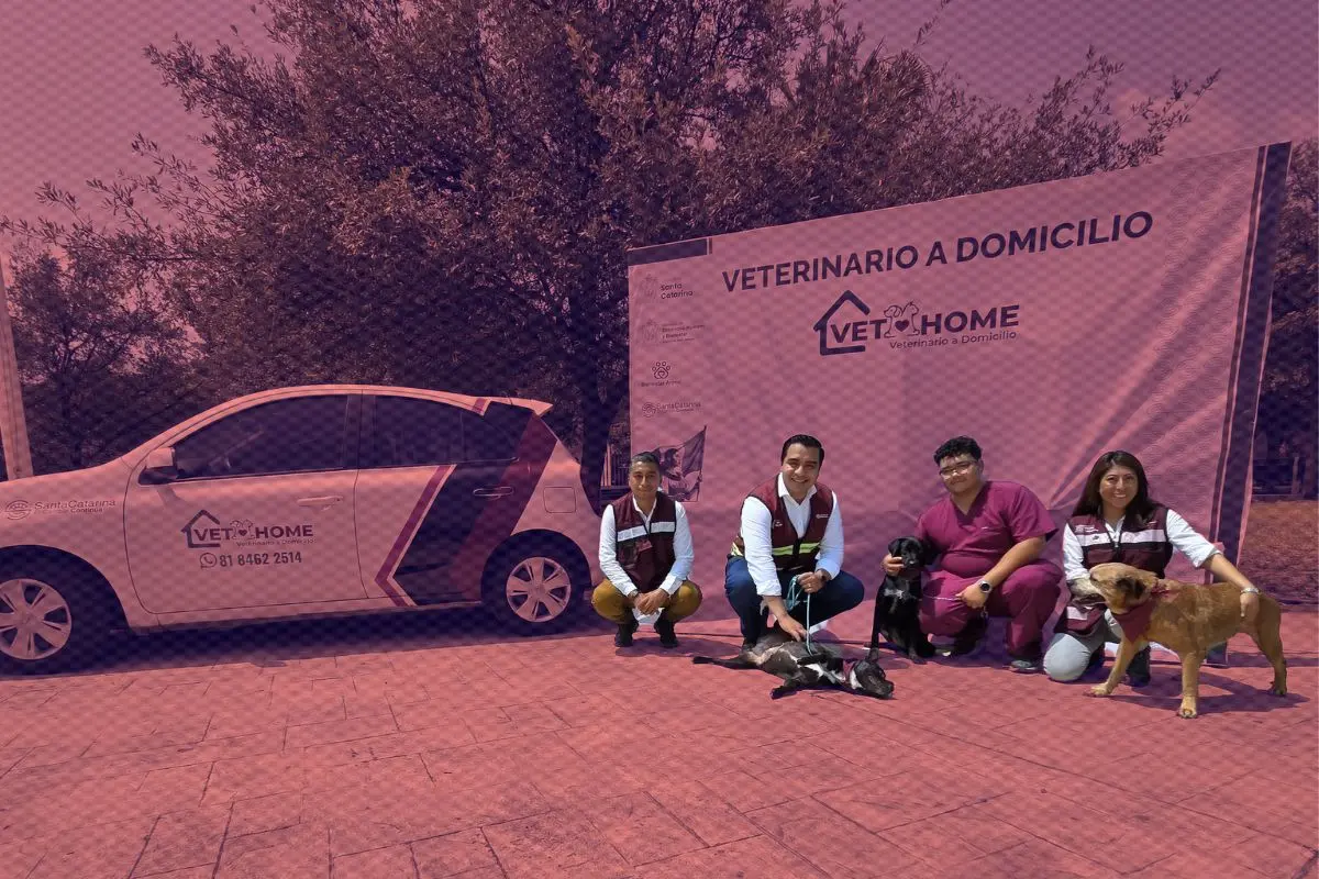 Entre los servicios que se ofrecerán se incluyen la aplicación de la vacuna antirrábica Foto: Gobierno de Santa Catarina