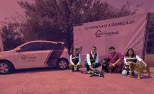 Jesús Nava anuncia “VET HOME”, servicio veterinario gratuito a domicilio en Santa Catarina
