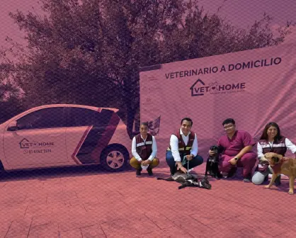 Jesús Nava anuncia "VET HOME", servicio veterinario gratuito a domicilio en Santa Catarina