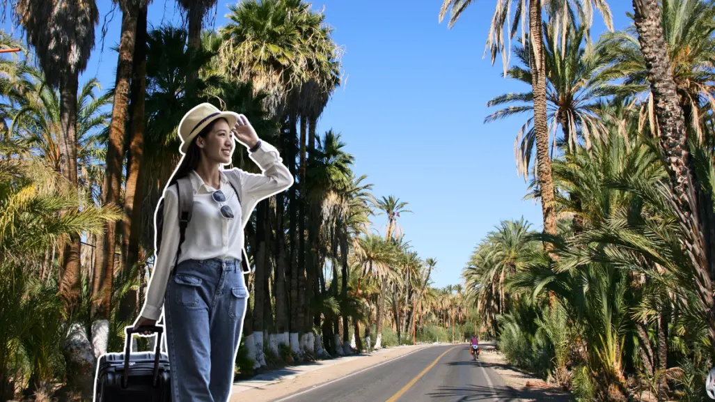 ¿Cuál es el mejor lugar para vivir en Baja California Sur? Esto dice la IA