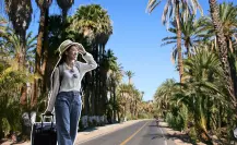 ¿Cuál es el mejor lugar para vivir en Baja California Sur? Esto dice la IA