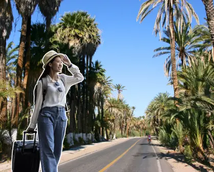 ¿Cuál es el mejor lugar para vivir en Baja California Sur? Esto dice la IA