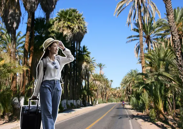 ¿Cuál es el mejor lugar para vivir en Baja California Sur? Esto dice la IA