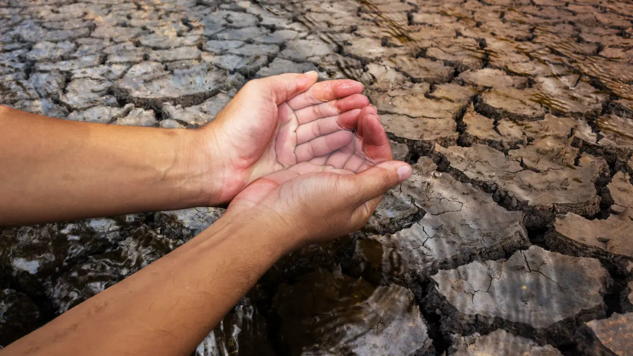 Manos tomando agua, en un lugar desértico. Foto: Canva