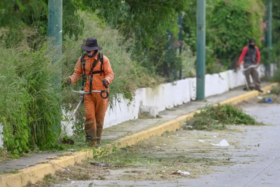 Estas acciones se implementan en Victoria para mejorar imagen en temporada vacacional