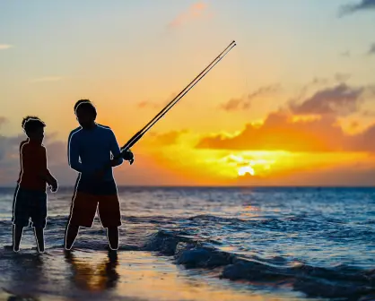 ¿Nunca has pescado? Estas son tus mejores opciones en Baja California Sur