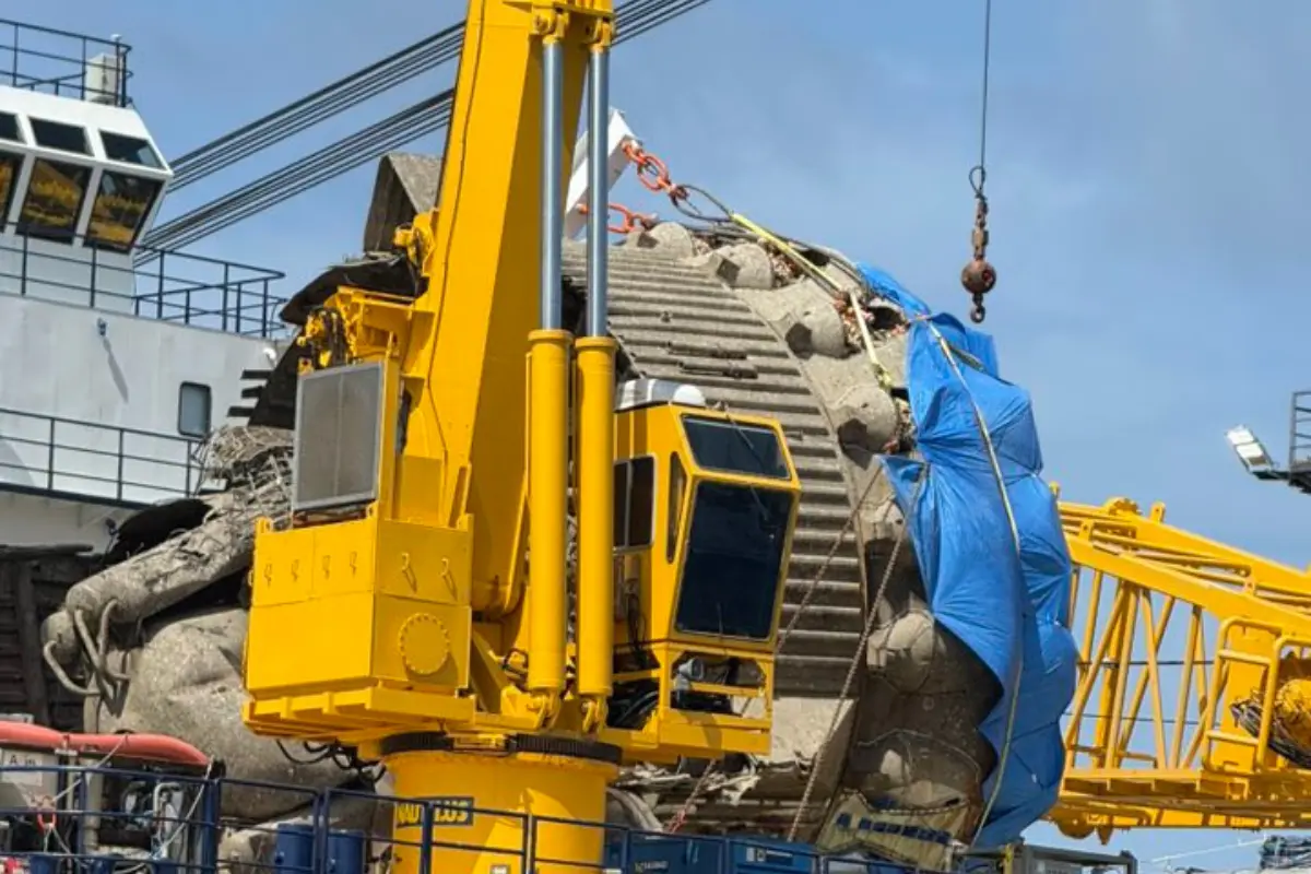 Se investigan daños ambientales por toda la basura del cohete Starship en costas mexicanas | Foto: Conibio Global A.C.
