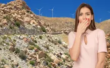 Por esto le dicen La Rumorosa a esta famosa carretera de Baja California