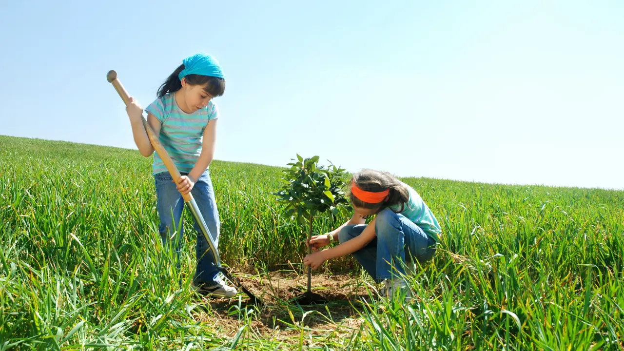 Durango fue reconocida como Ciudad Árbol del Mundo por quinta ocasión. Foto: Canva.