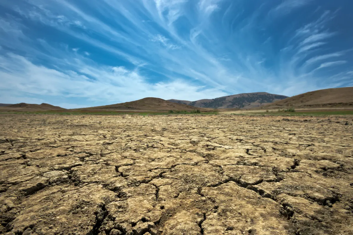 Estas cifras contrastan con la caída del 46% en el total nacional de hectáreas siniestradas frente a mayo de 2024, cuando se reportaron más de 45 mil hectáreas afectadas. Foto: CANVA