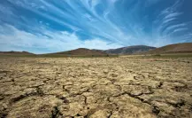 Tamaulipas el más afectado por la sequía