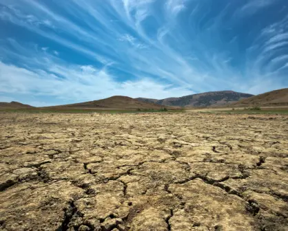 Tamaulipas el más afectado por la sequía