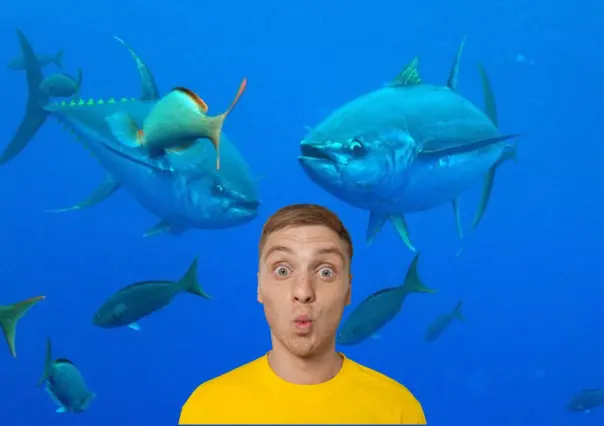 Atún aleta amarilla: la estrella de la pesca deportiva en BCS que mueve miles en alta mar