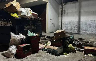 Ciudadanos desmienten retiro total de contenedores de basura en Tampico